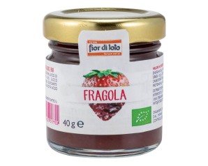 MINICOMPOSTA ALLA FRAGOLA 40G