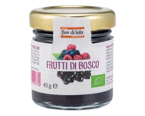MINICOMPOSTA FRUTTI BOSCO 40G