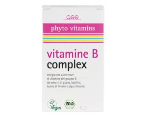 GSE VITAMINA B COMPLEX 60CPS
