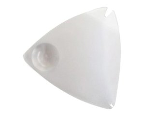 RIMUOVI ZECCHE CON LENTE