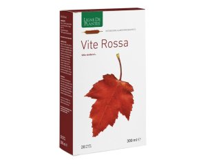 VITE ROSSA BIO 20AB 15ML