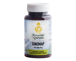 Map Italia Ginomap 60 Compresse