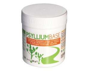 PSYLLIUM BASE POLVERE 120G