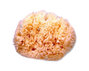 SUAVINEX SPUGNA NATURALE GRAND