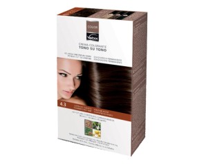 VEBIX-Color  4.3 Cast.Dorato