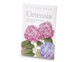 ORTENSIA SACCHETTO PROF CASSET