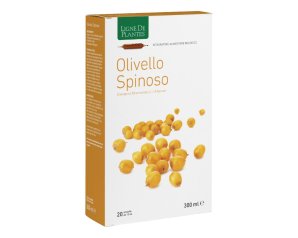 OLIVELLO SPINOSO BIO 20AB