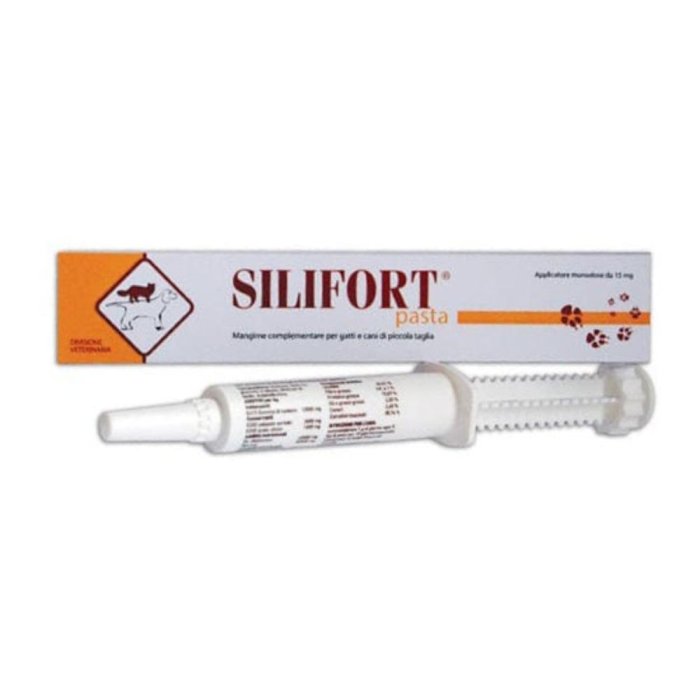 Ddfarma Silifort Pasta Os Siringa 30 G