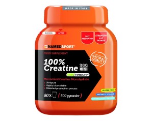 CREATINA 100% 500G