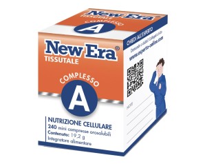 NEW ERA A 240GR