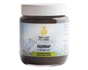 Map Italia Vigormap Pasta 600 G