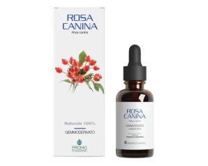 ROSA CANINA GD 50ML