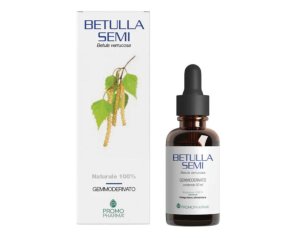 BETULLA SEMI GEMMODERIVATO50ML