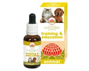 TRAINING & EDUCATION 30ML