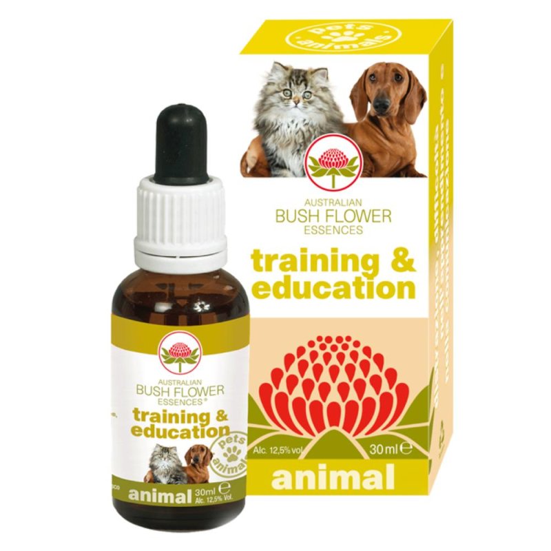 TRAINING & EDUCATION 30ML TRAINING & EDUCATION 30ML