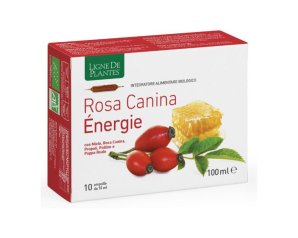 Natura Service Rosa Canina Energie Biologico 10 Ampolle Bevibili Da 10 Ml