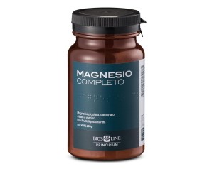 MAGNESIO COMPLETO 400G PRINCIP