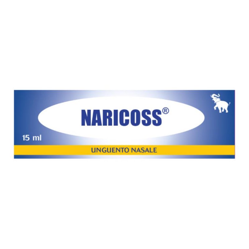 Medicoss Sas Di A. Cossalter Naricoss Unguento Nasale 15 G