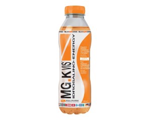 MGK VIS Drink Orange 500ml