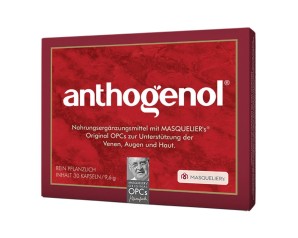 La Strega Opc Masquelier Anthogenol 30 Capsule
