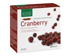CRANBERRY 15AB 15ML