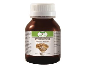 MAITAKE FUNGUS 60CPS