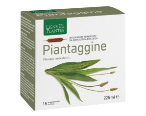 PIANTAGGINE 15AMP 15ML NATURA