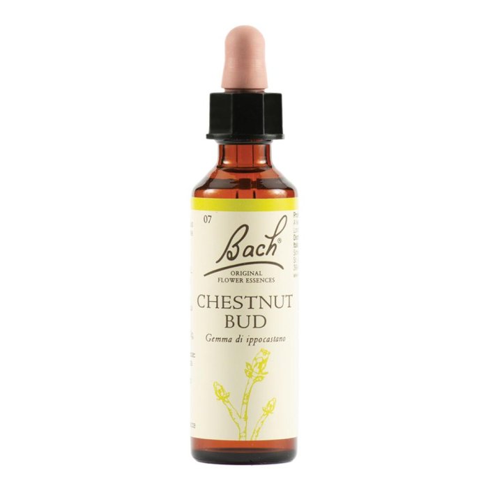 BACH 7 Chestnut Bud 20ml LKR BACH 7 Chestnut Bud 20ml LKR