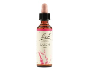 BACH 19 Larch Gtt 20ml