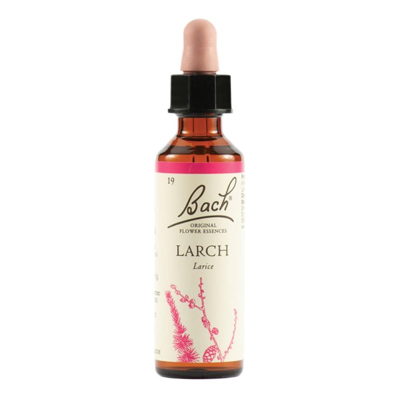 BACH 19 Larch Gtt 20ml BACH 19 Larch Gtt 20ml