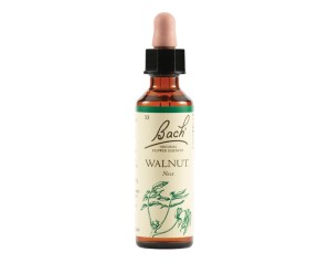 WALNUT BACH ORIG 20ML