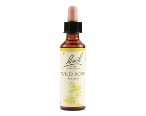 BACH 37 Wild Rose 20ml
