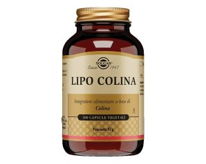 LIPO COLINA 100 Cps 100mgSOLGA