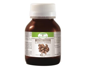SHIITAKEFUNGUS 60CPS