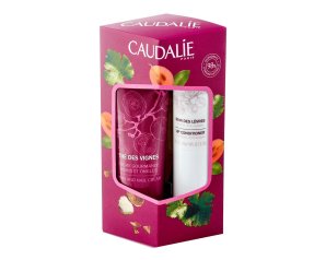 LIPHAND DUO TDV 2020