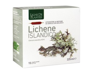 LICHENE ISLANDICO 15AMPX15ML