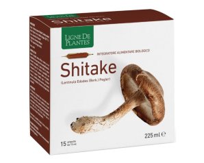 Ligne Shitake Bio 15 fiale 15 ml - integratore bio al fungo shiitake