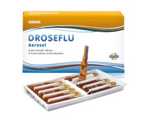 DROSEFLU Aerosol 10f.2ml