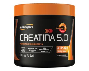 CREATINA 5.0 300G
