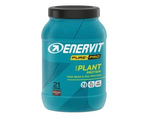 ENERVIT PP PROTEIN PLANT CACAO