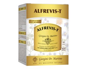 ALFREVIS T-400 Past.