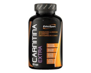 CARNITINA EXTRA 120CPS