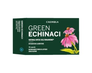GREEN ECHINACI 36CPS