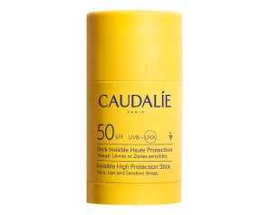 VINOSUN STICK INV PROT/A SPF50