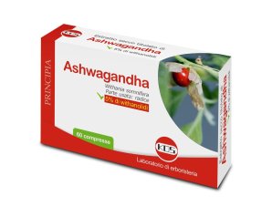 ASHWAGANDHA 5% WITH.60Cpr KOS
