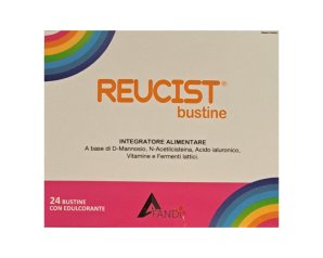 REUCIST 24BUST