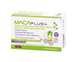 MACA PLUS 4 60CPS
