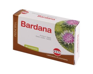 BARDANA ESTR SEC 60CPR