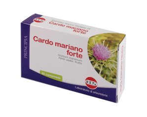 CARDO MARIANO Forte 60 Cpr KOS