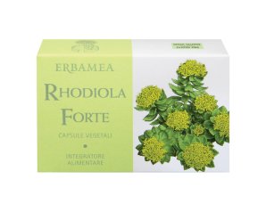 RHODIOLA Forte 24 Cps EBM